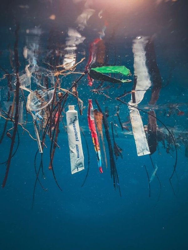 L'impact des déchets plastiques sur la vie marine